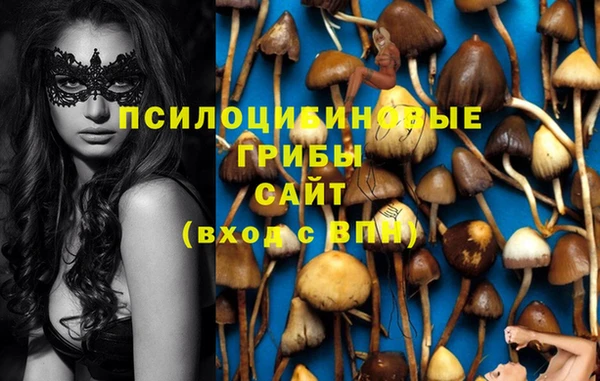стафф Алексин