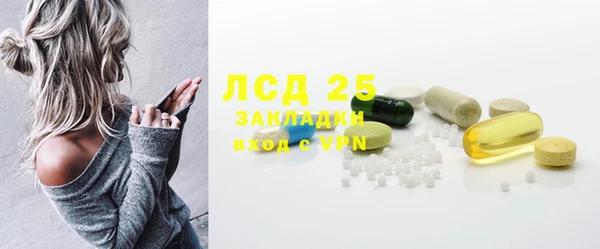 стафф Алексин