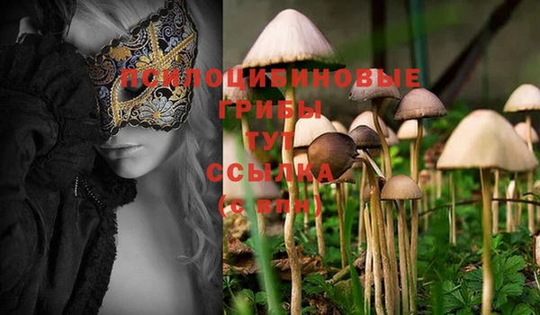 MDMA Premium VHQ Алзамай