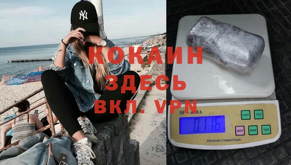 стафф Алексин