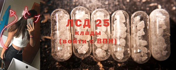 стафф Алексин