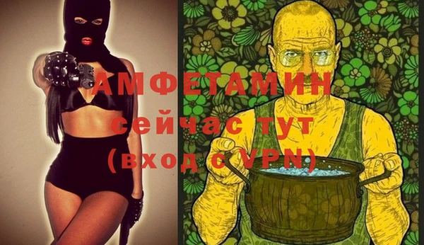 стафф Алексин